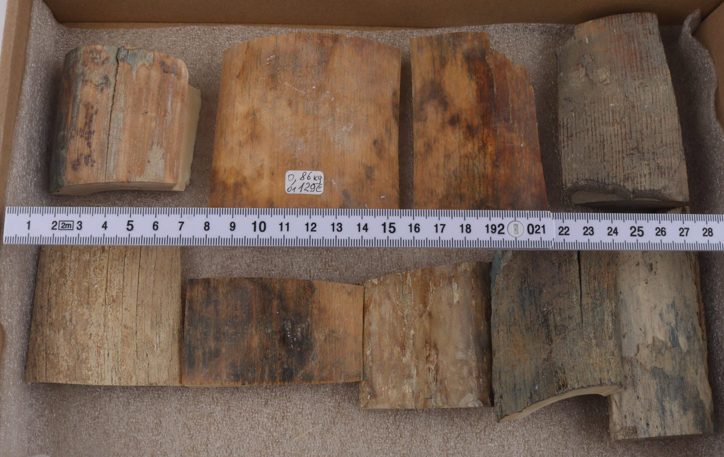 Natural mammoth bark pieces