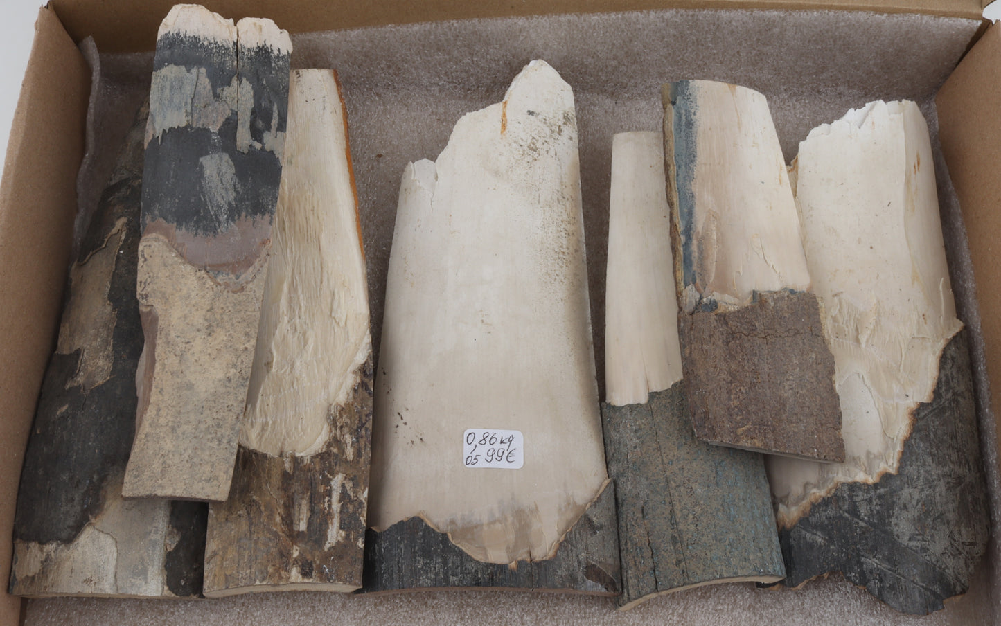 Raw mammoth ivory pieces