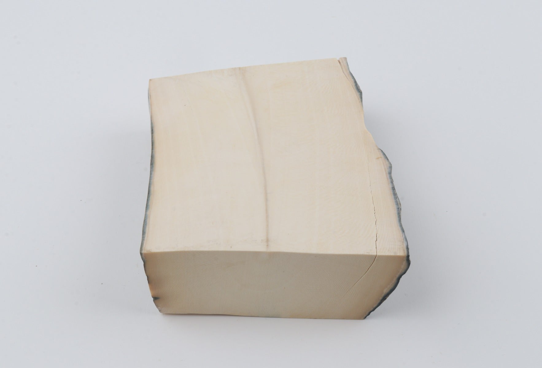 White mammoth ivory segment