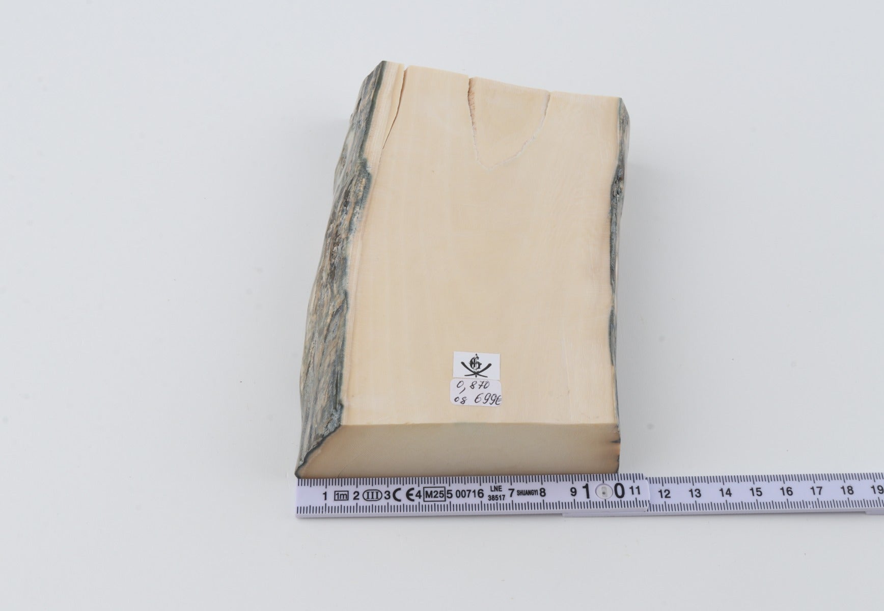 White mammoth ivory segment