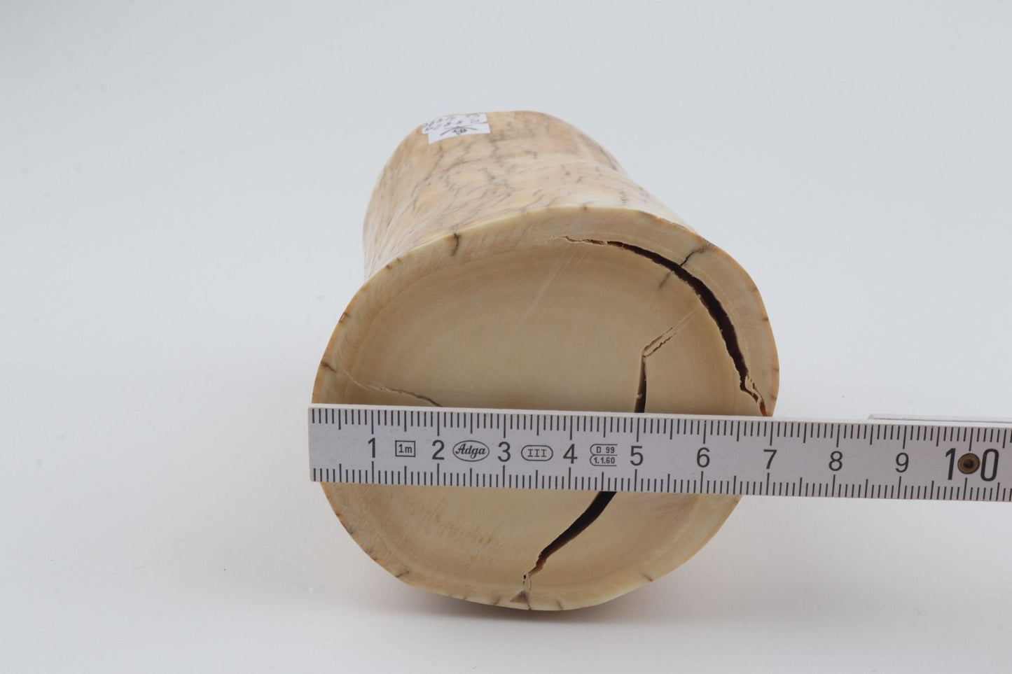 Round mammoth ivory piece