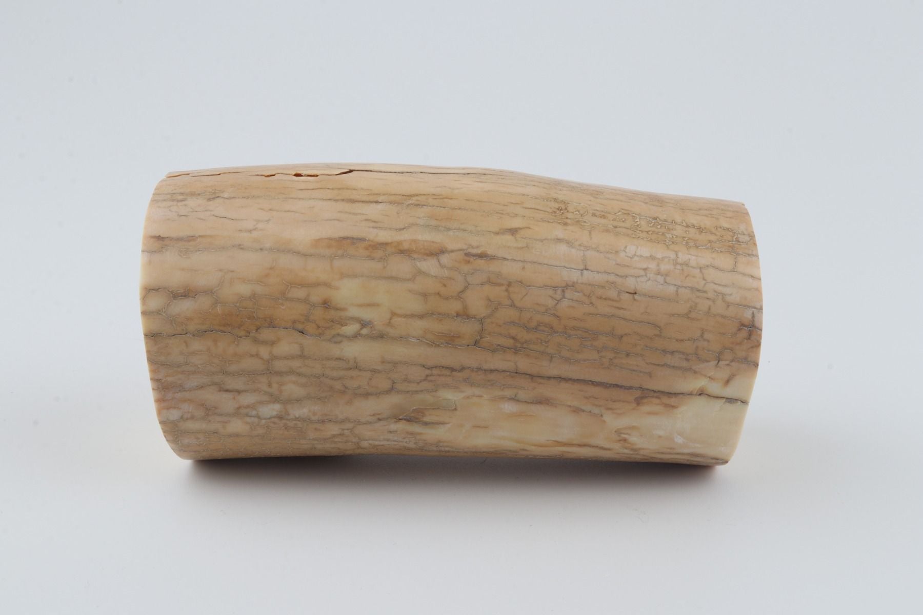 Round mammoth ivory piece