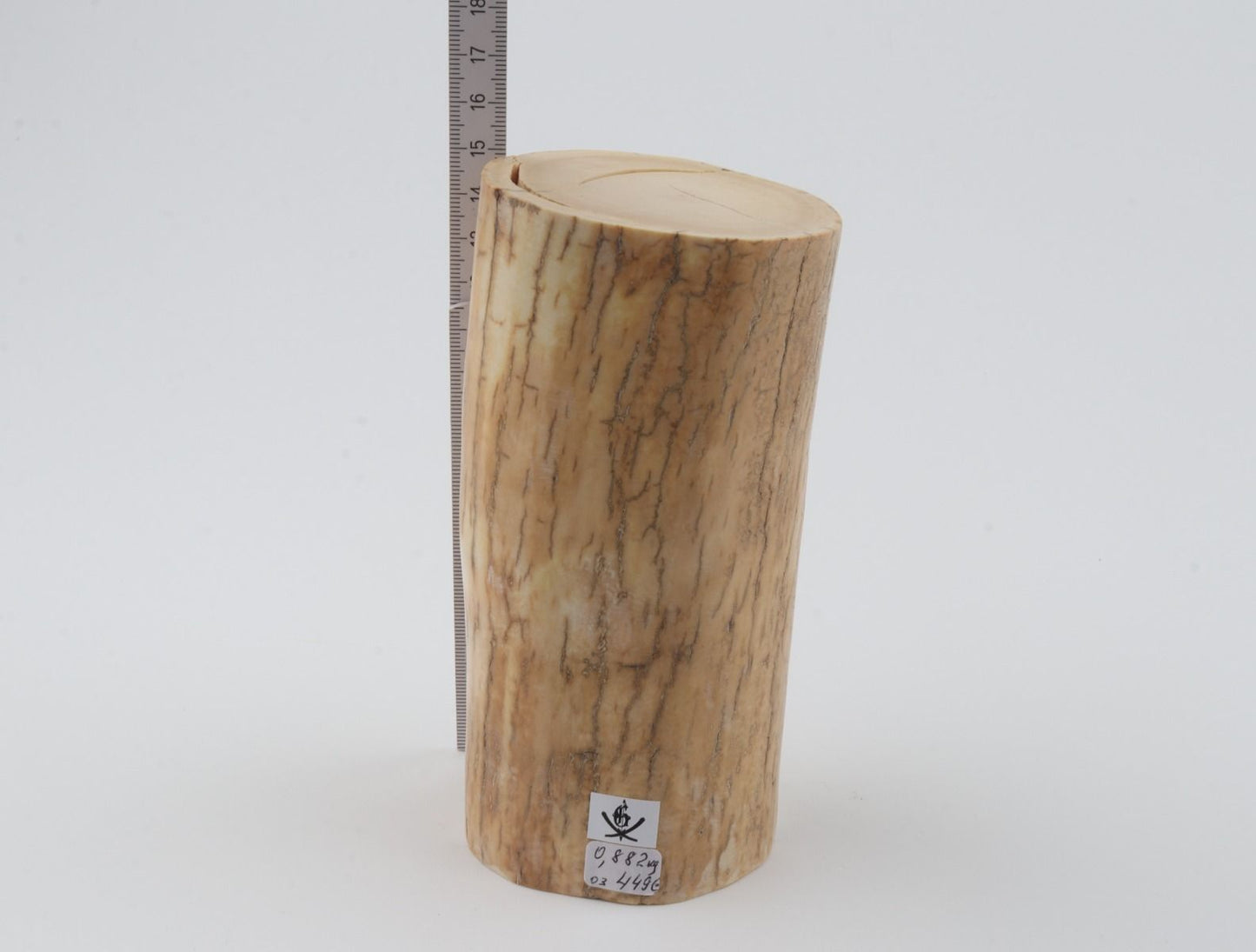 Round mammoth ivory piece