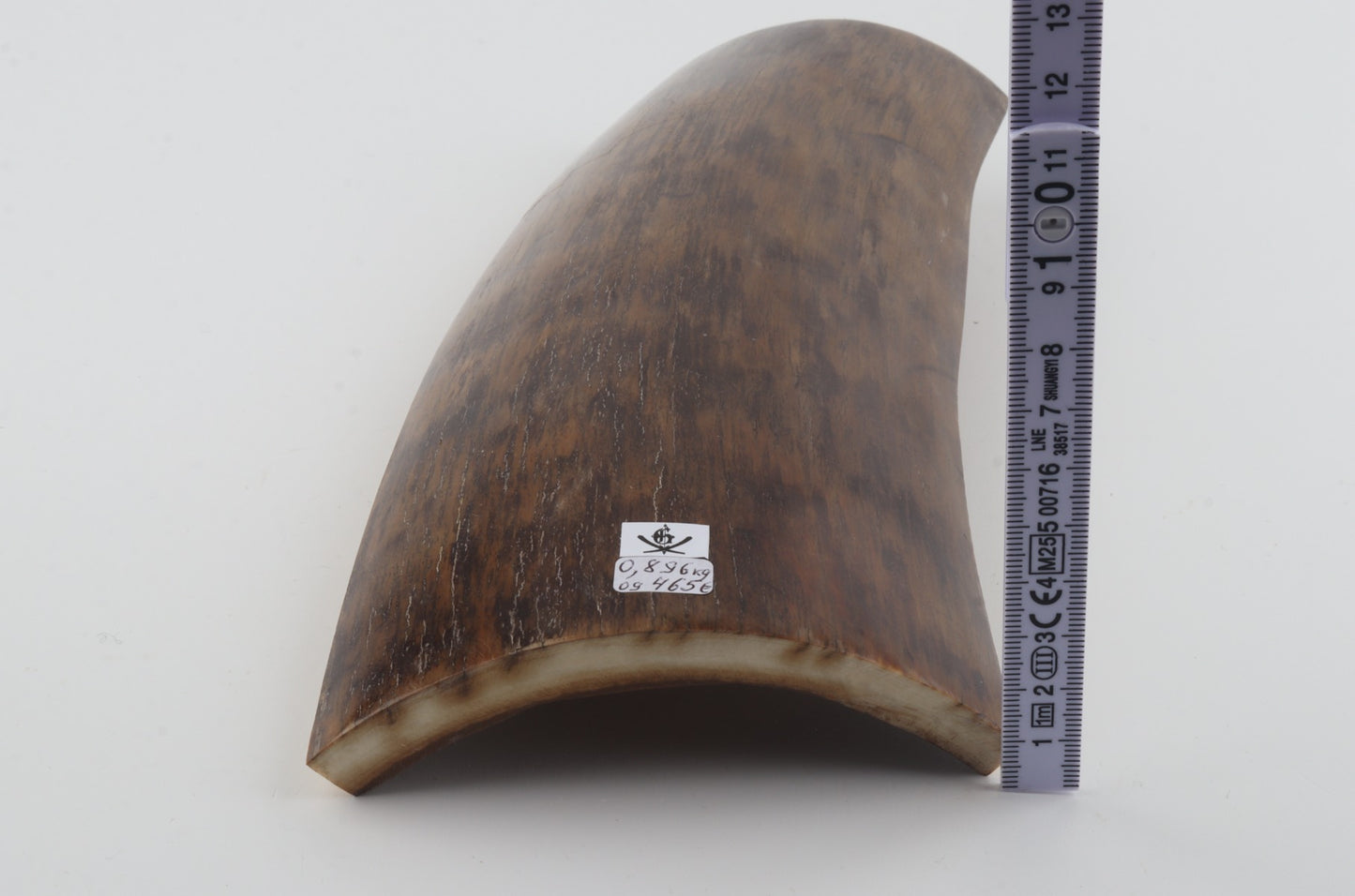 Brown-mustard mammoth bark