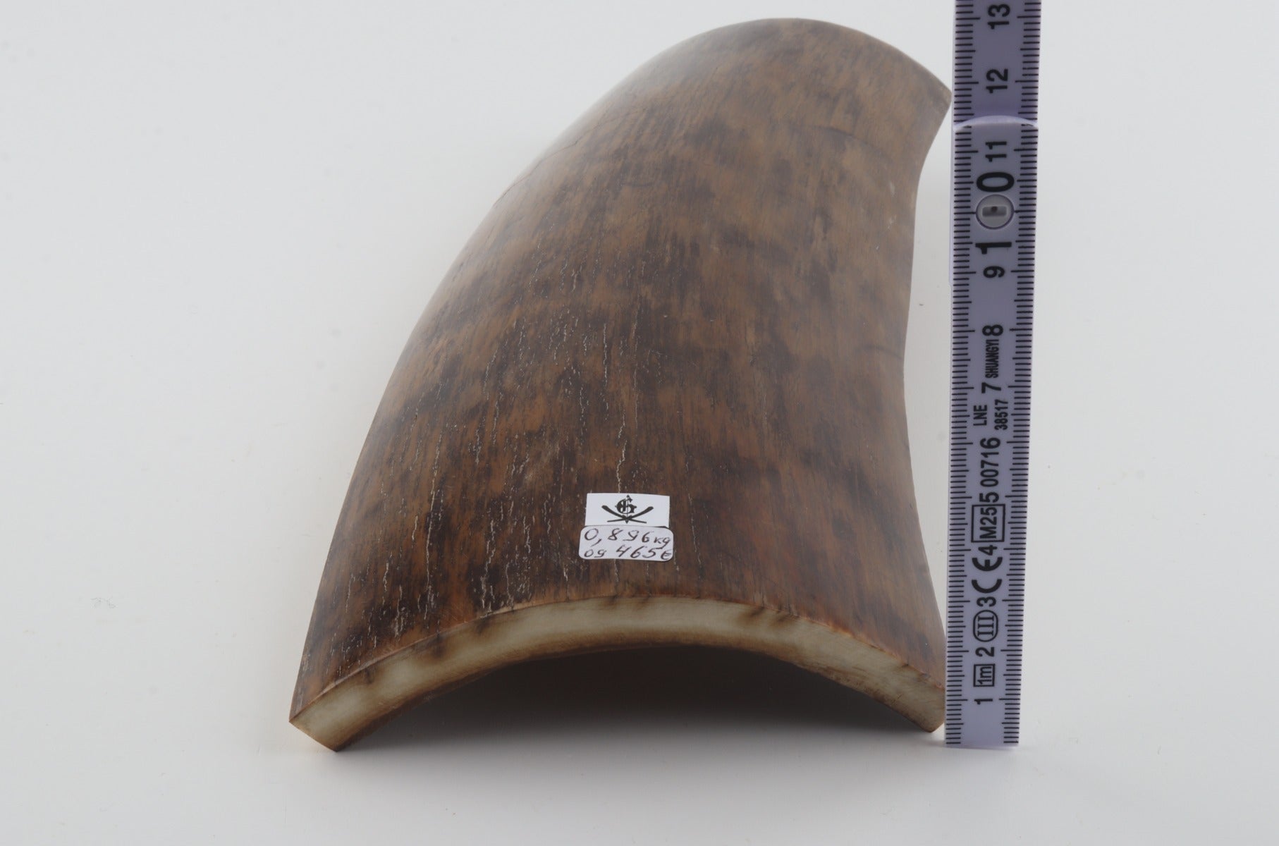 Brown-mustard mammoth bark