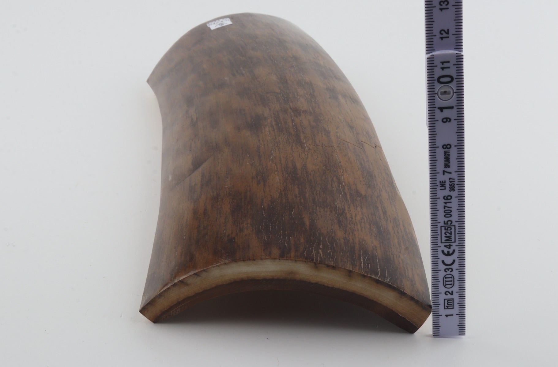 Brown-mustard mammoth bark