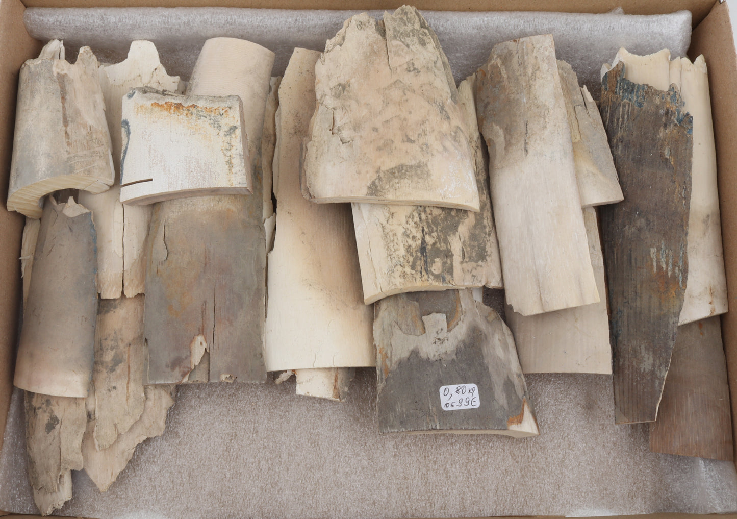 Raw mammoth ivory pieces