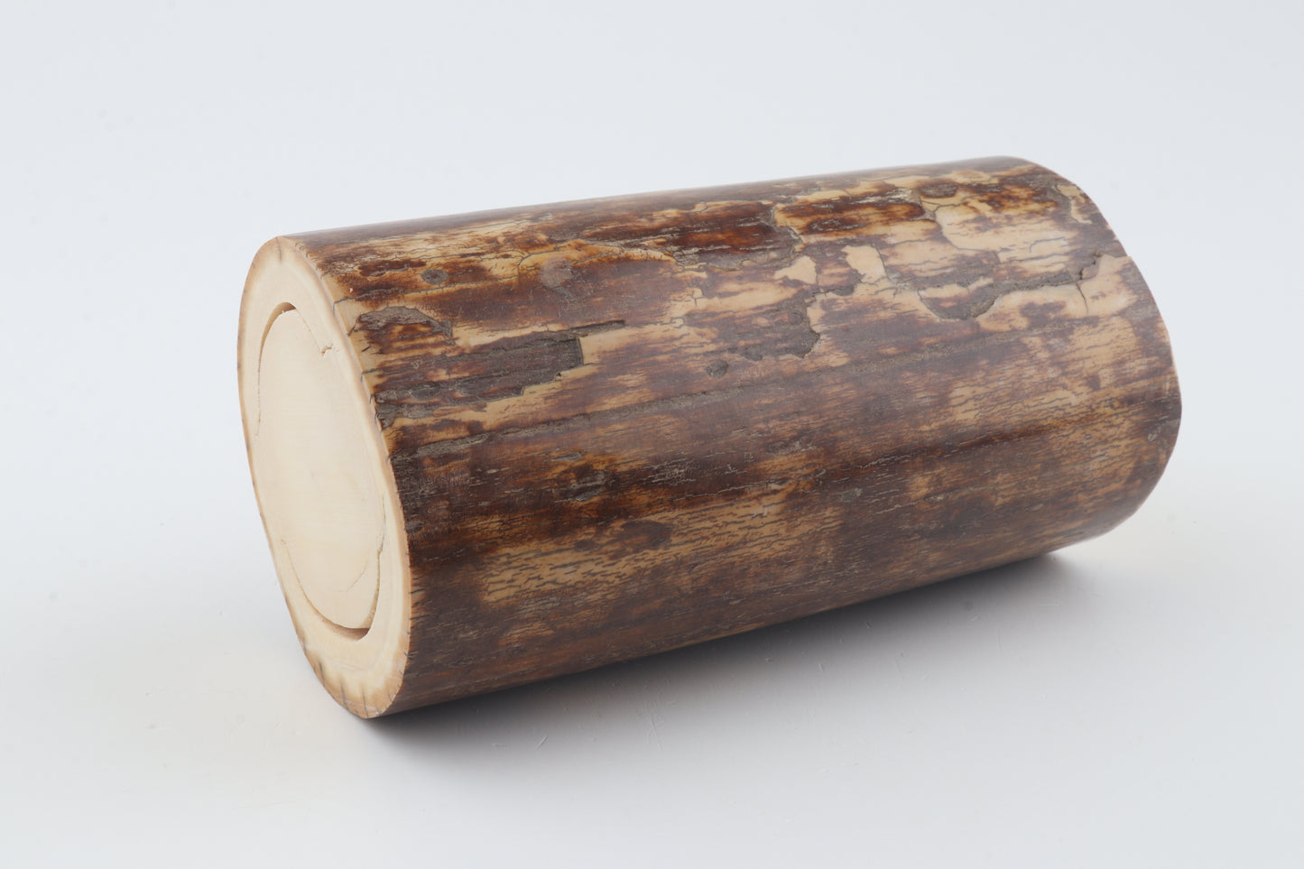 Round mammoth ivory piece