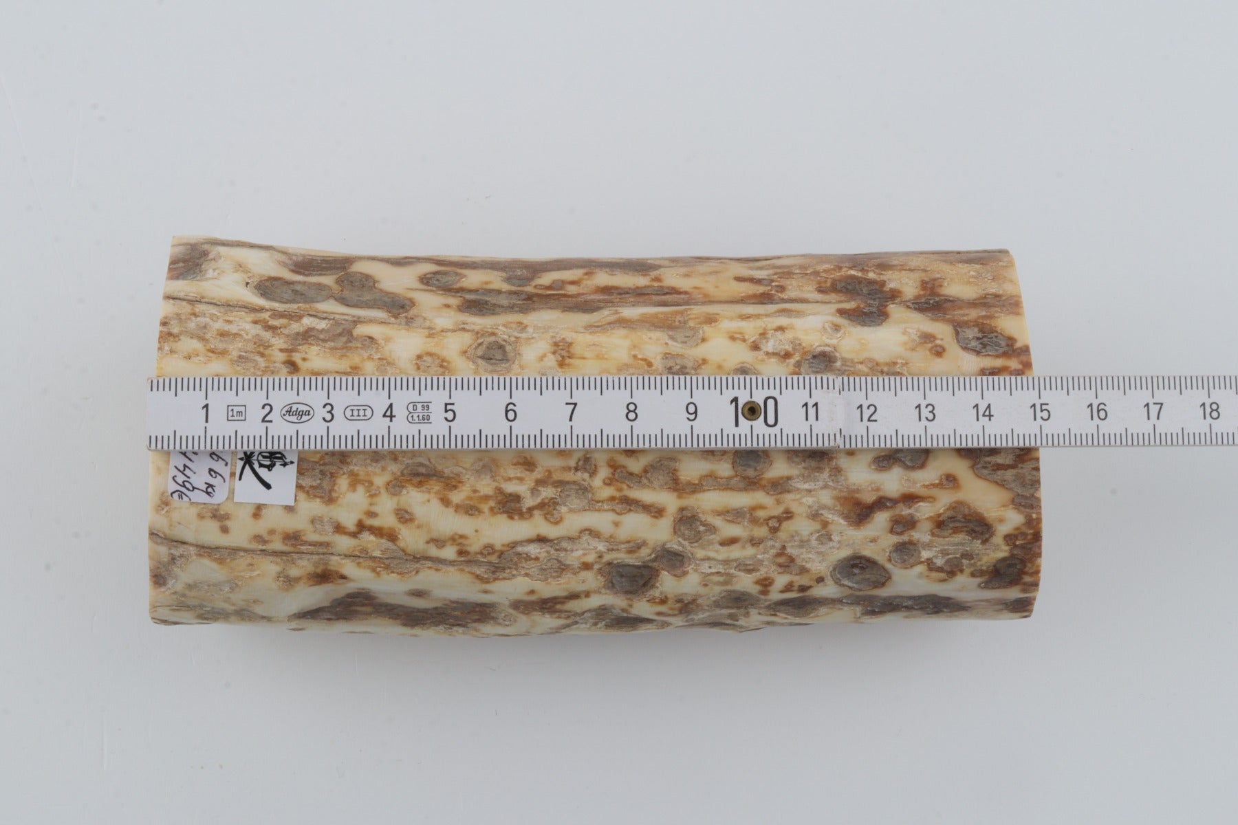 Natural mammoth ivory piece