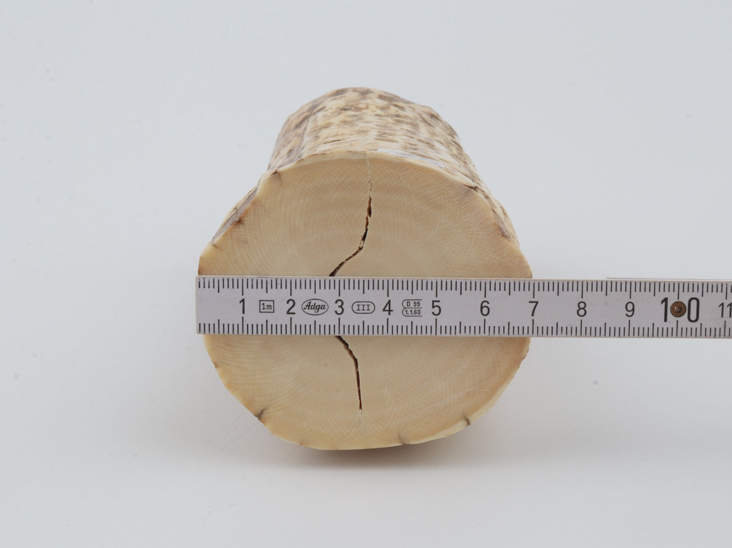Natural mammoth ivory piece
