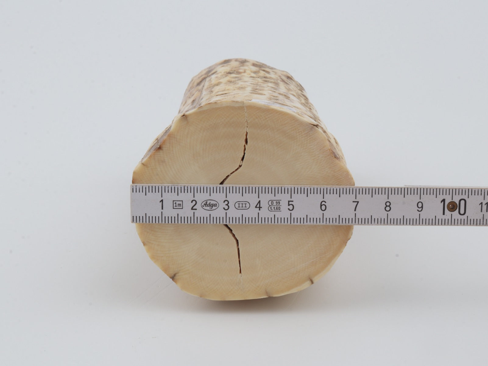 Natural mammoth ivory piece