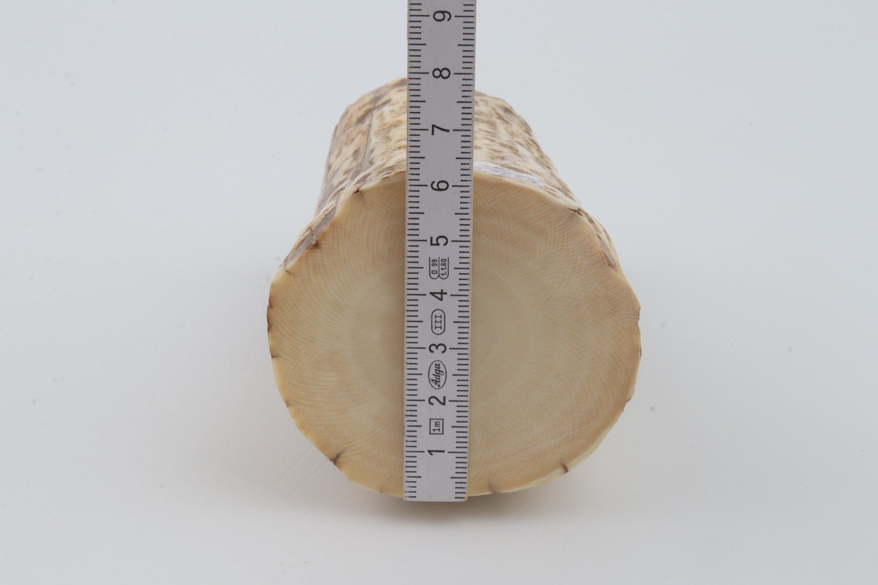 Natural mammoth ivory piece