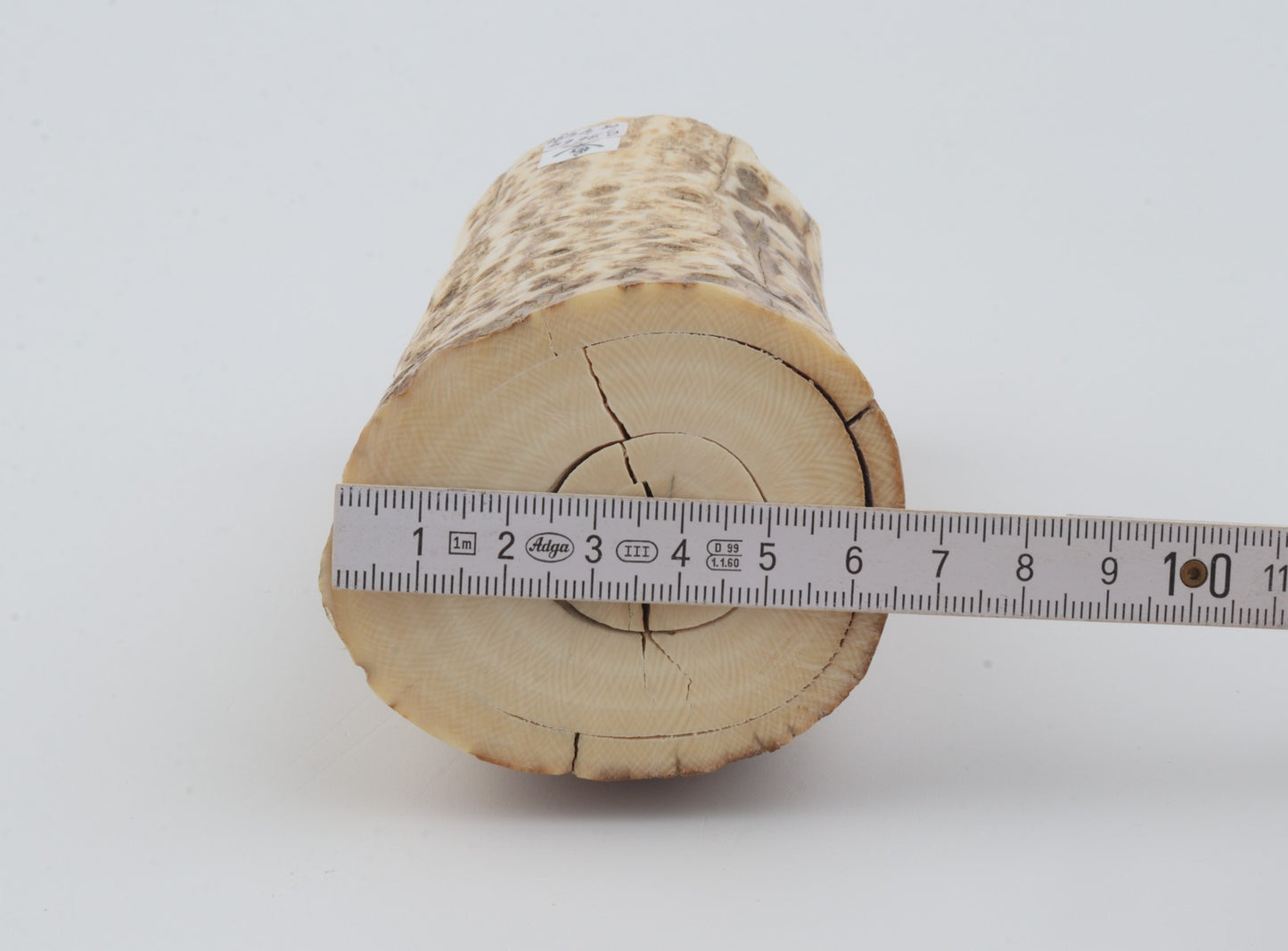 Natural mammoth ivory piece