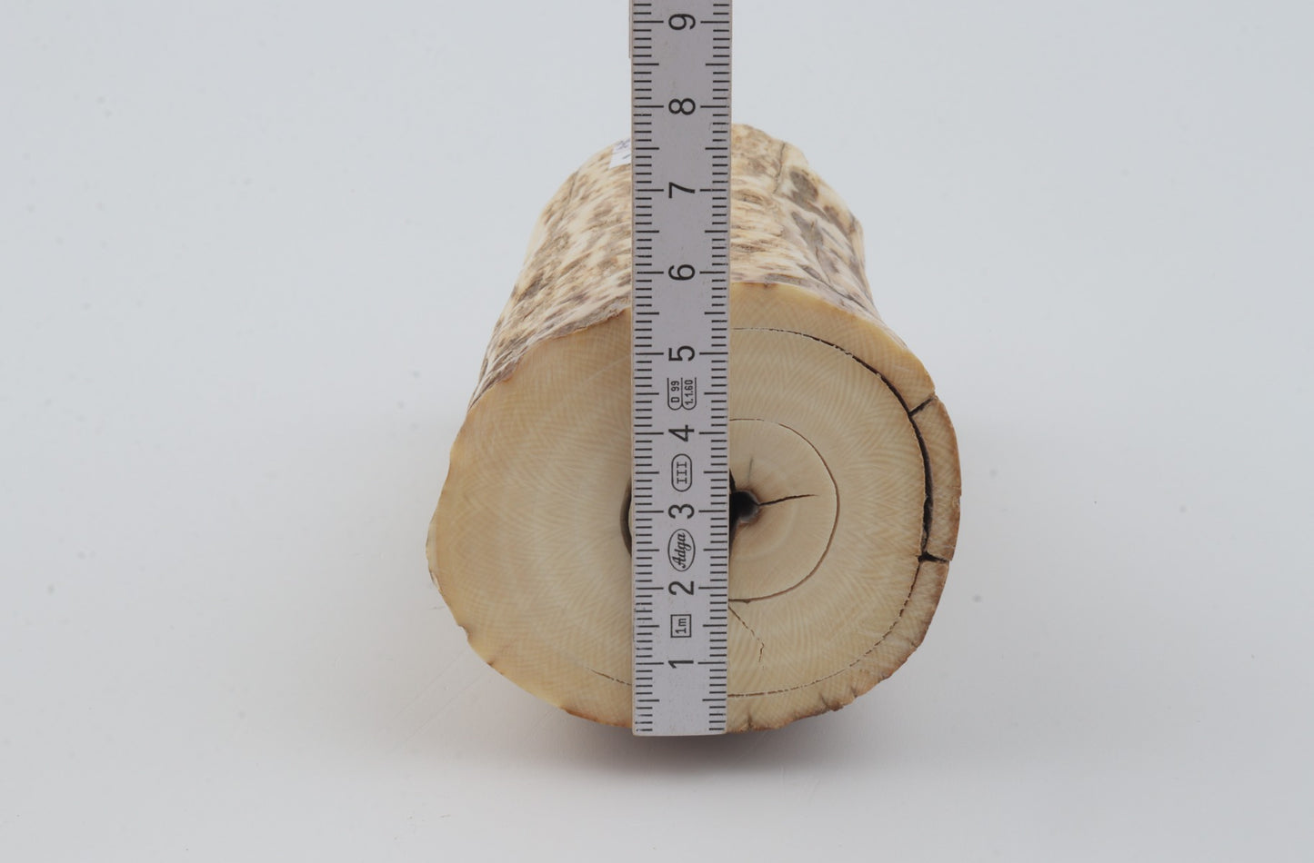 Natural mammoth ivory piece