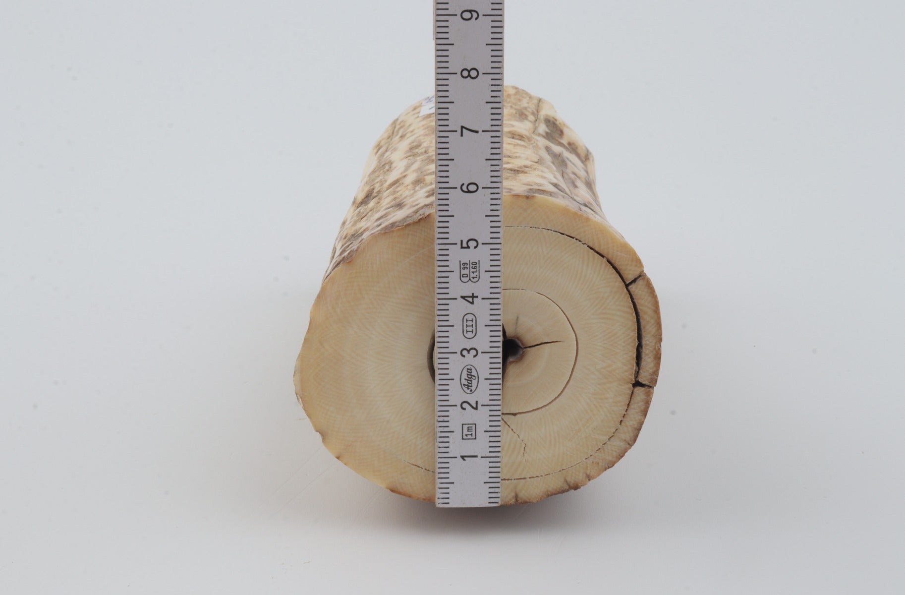 Natural mammoth ivory piece
