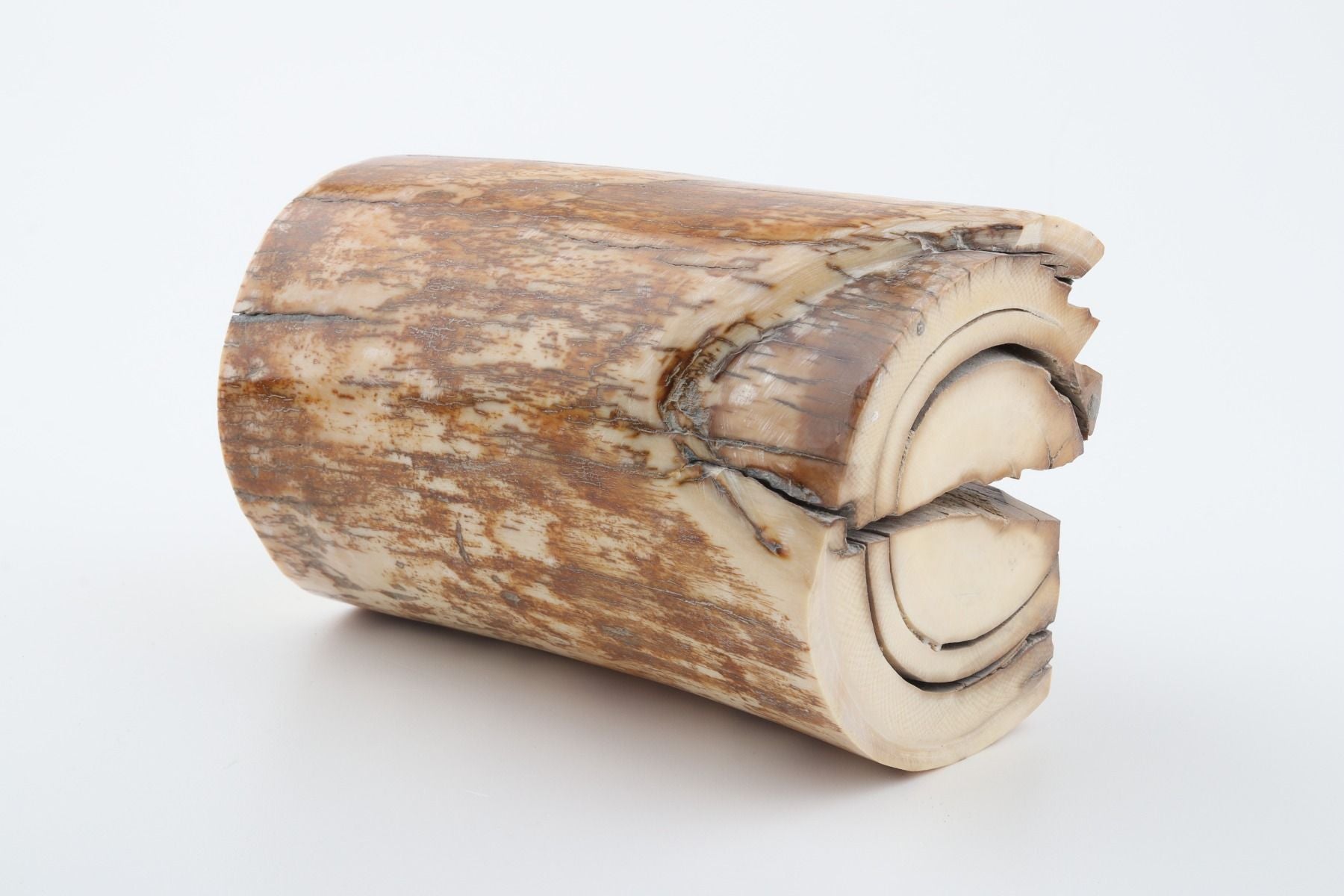 Natural mammoth ivory piece