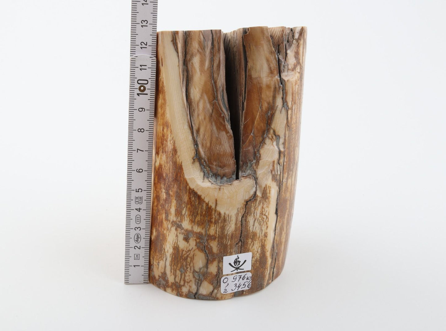 Natural mammoth ivory piece