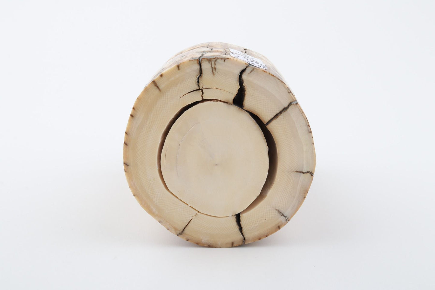 Natural mammoth ivory piece