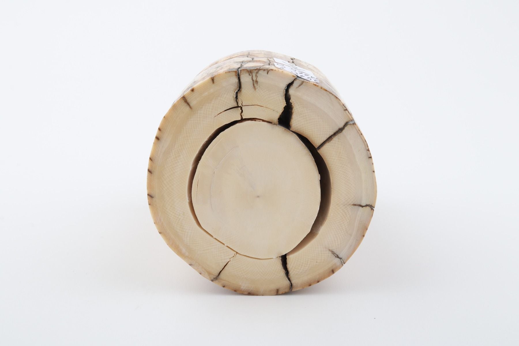 Natural mammoth ivory piece