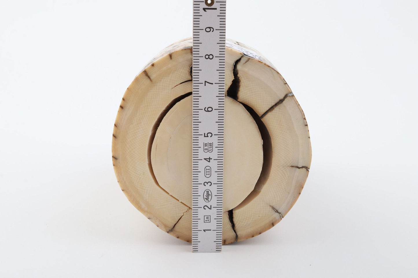 Natural mammoth ivory piece