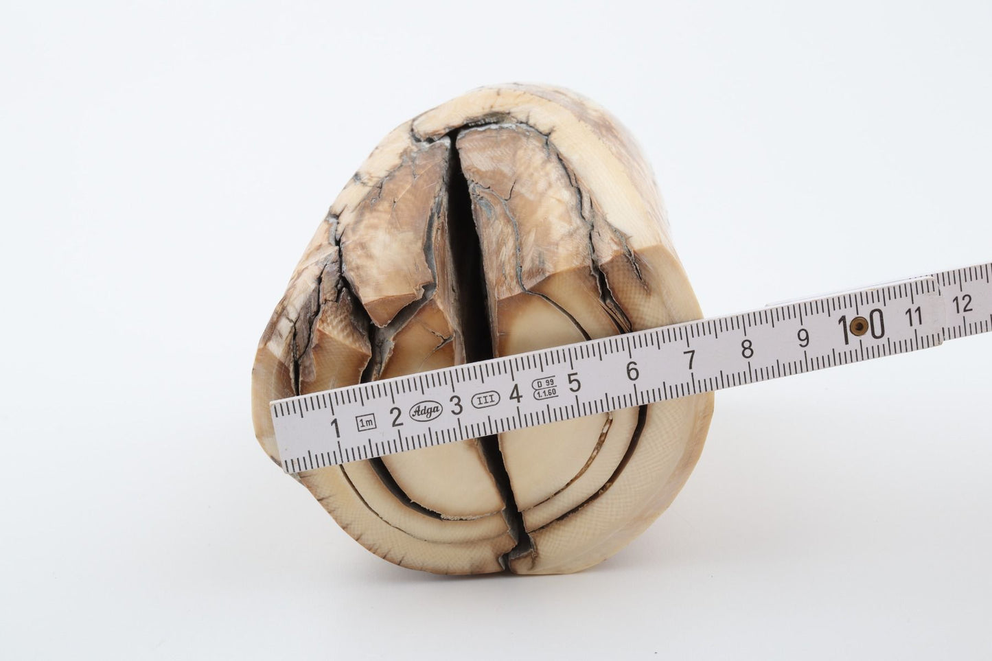 Natural mammoth ivory piece