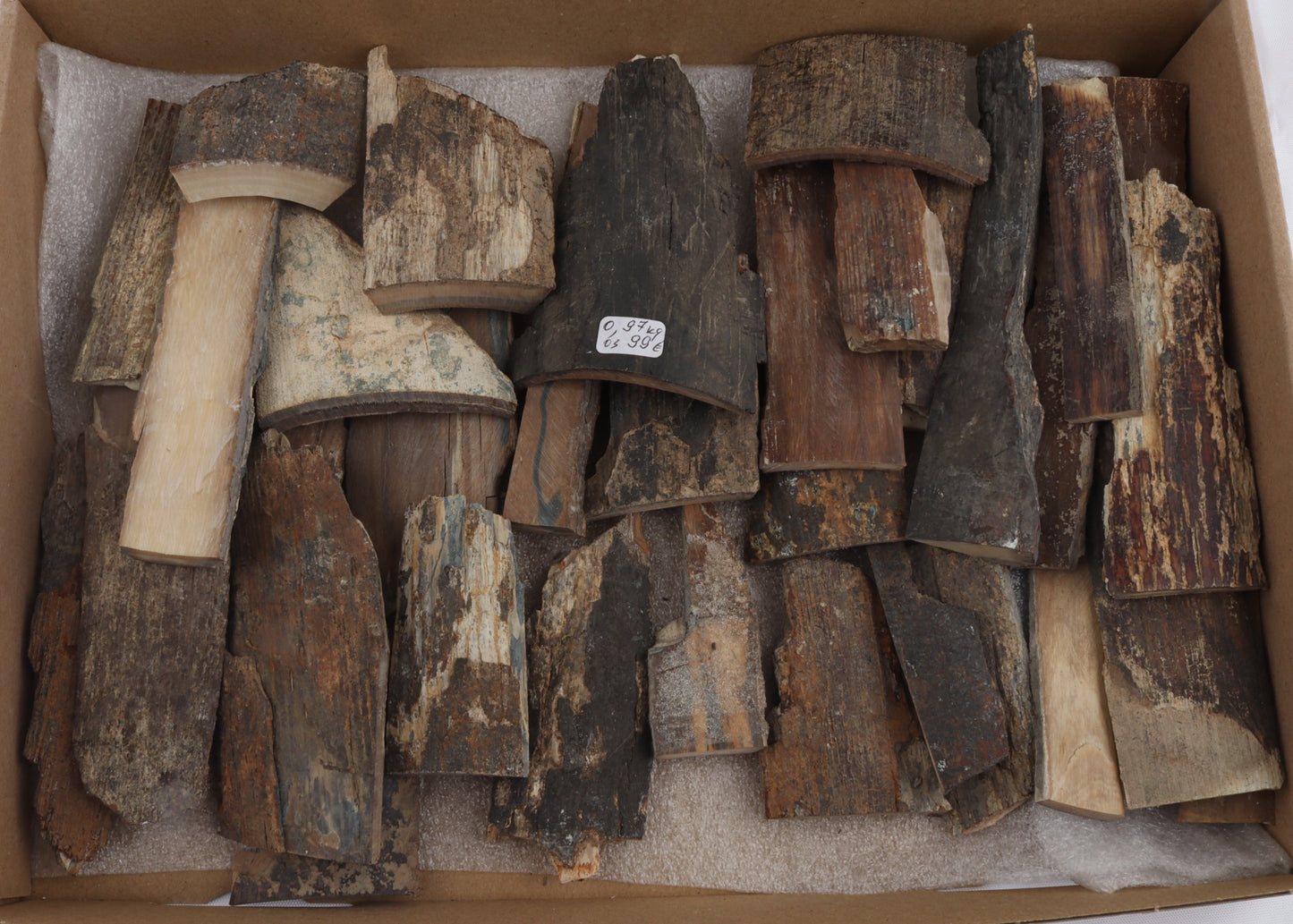 Untreated mammoth bark pieces