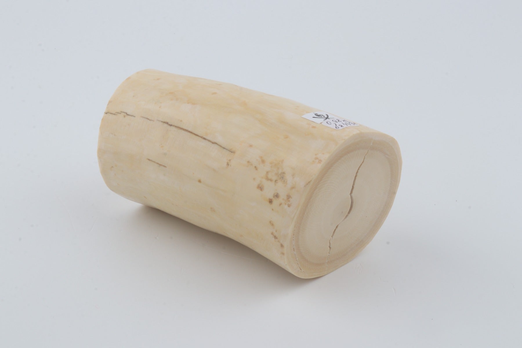 Round mammoth tusk piece