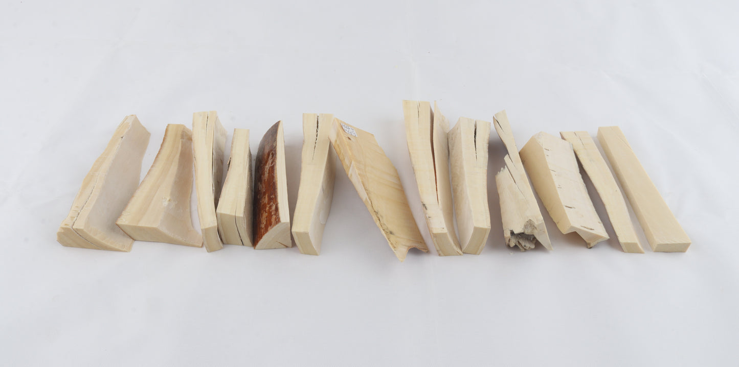 White mammoth ivory pieces