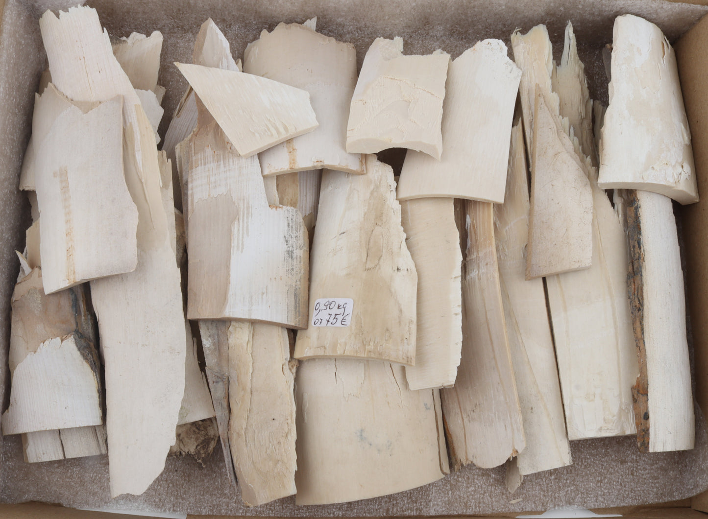 Untreated mammoth ivory offcuts