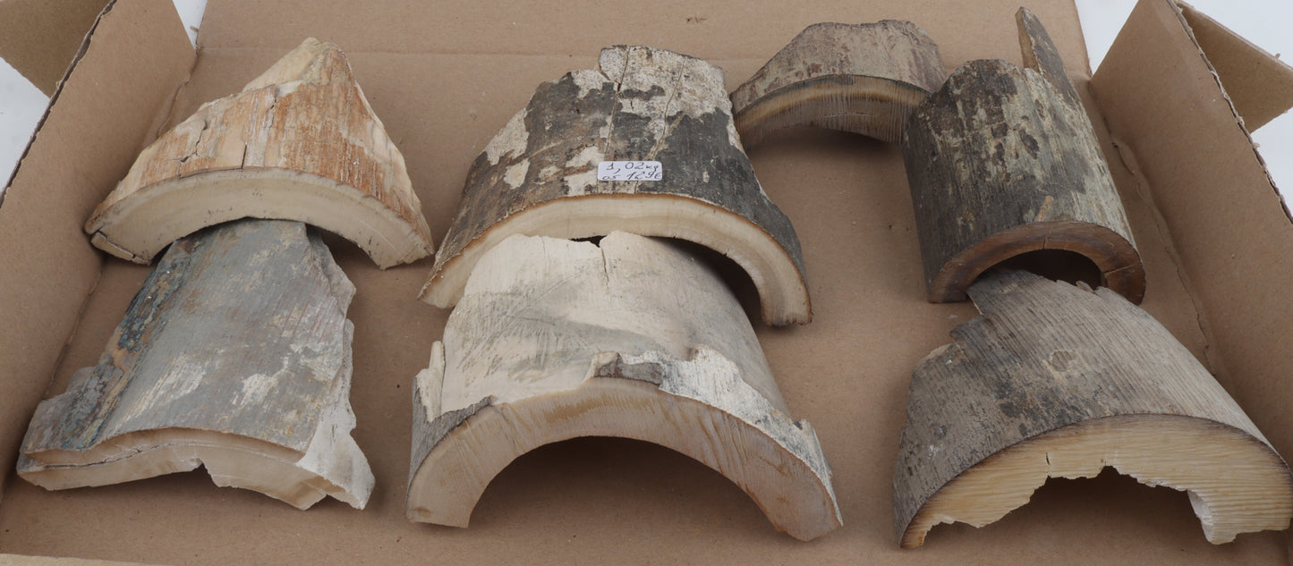 Raw mammoth ivory pieces