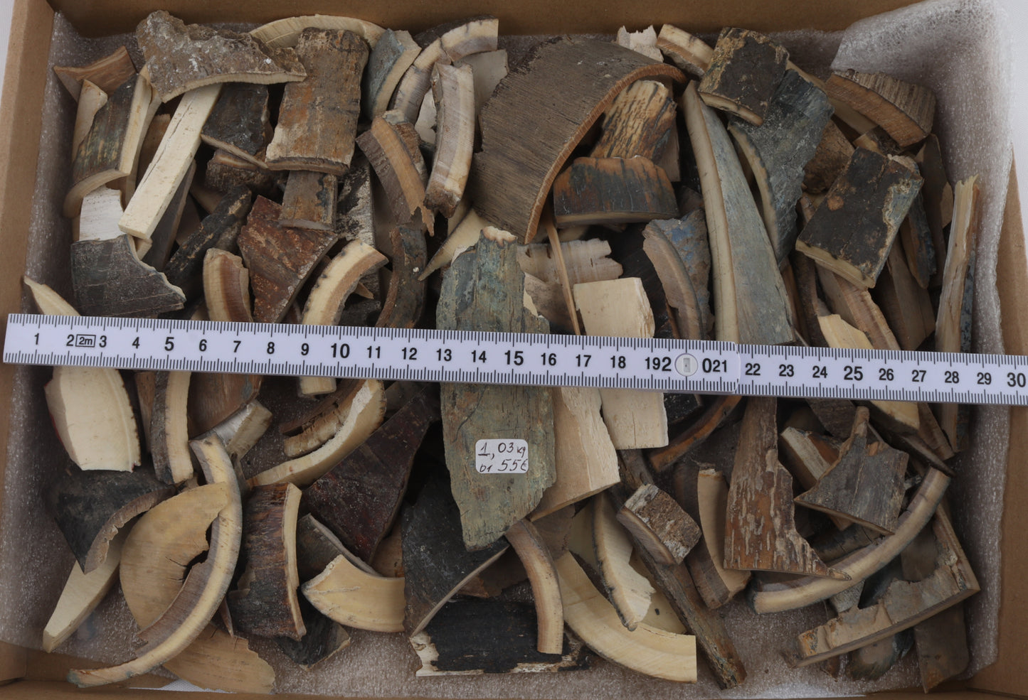Untreated mammoth ivory offcuts