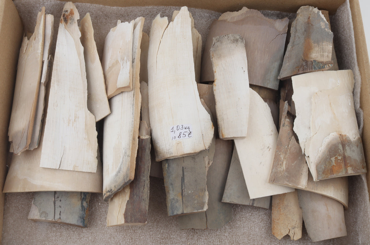 Raw mammoth ivory offcuts
