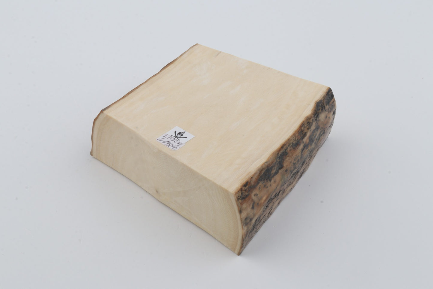 White mammoth ivory segment