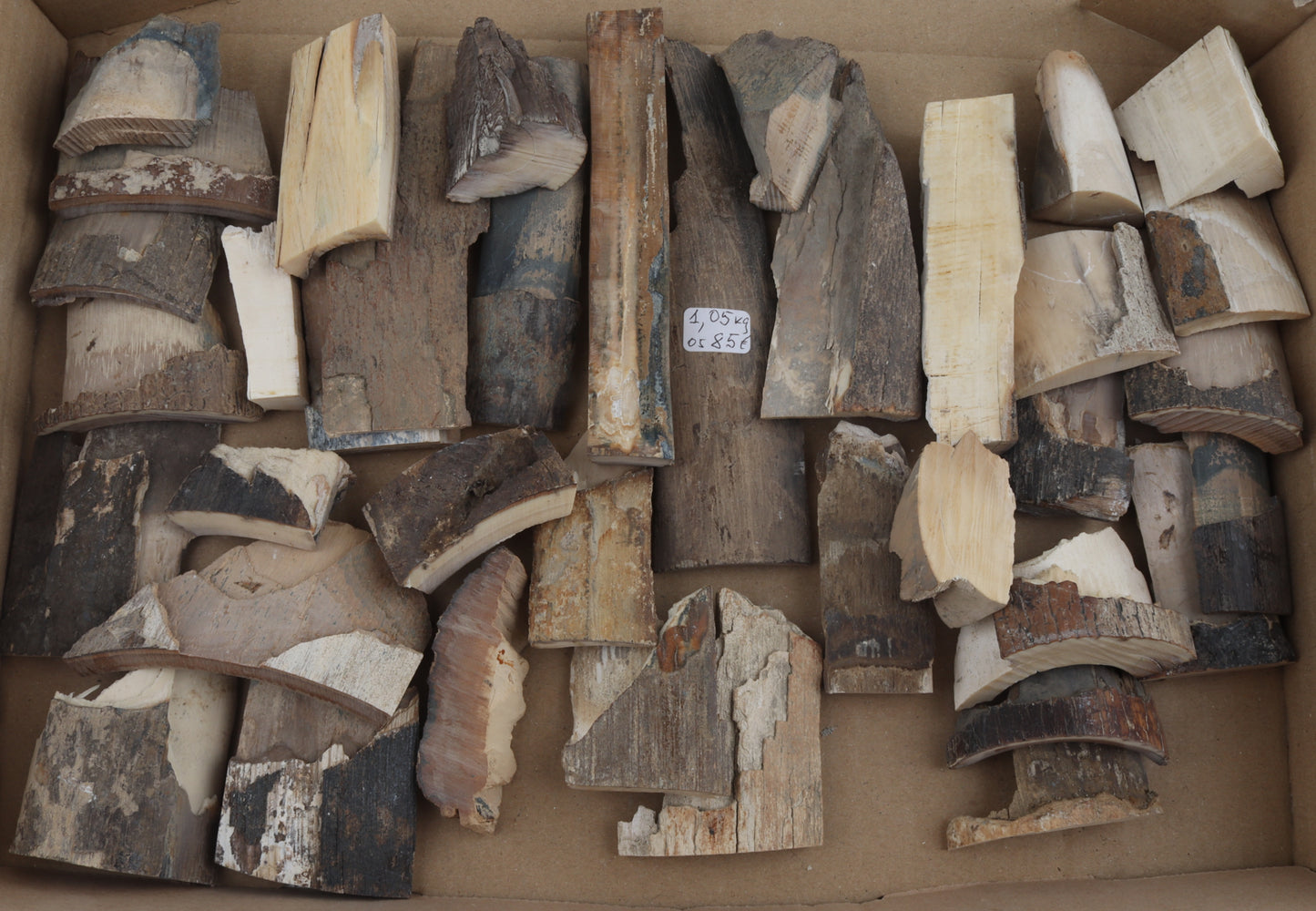 Raw mammoth ivory pieces