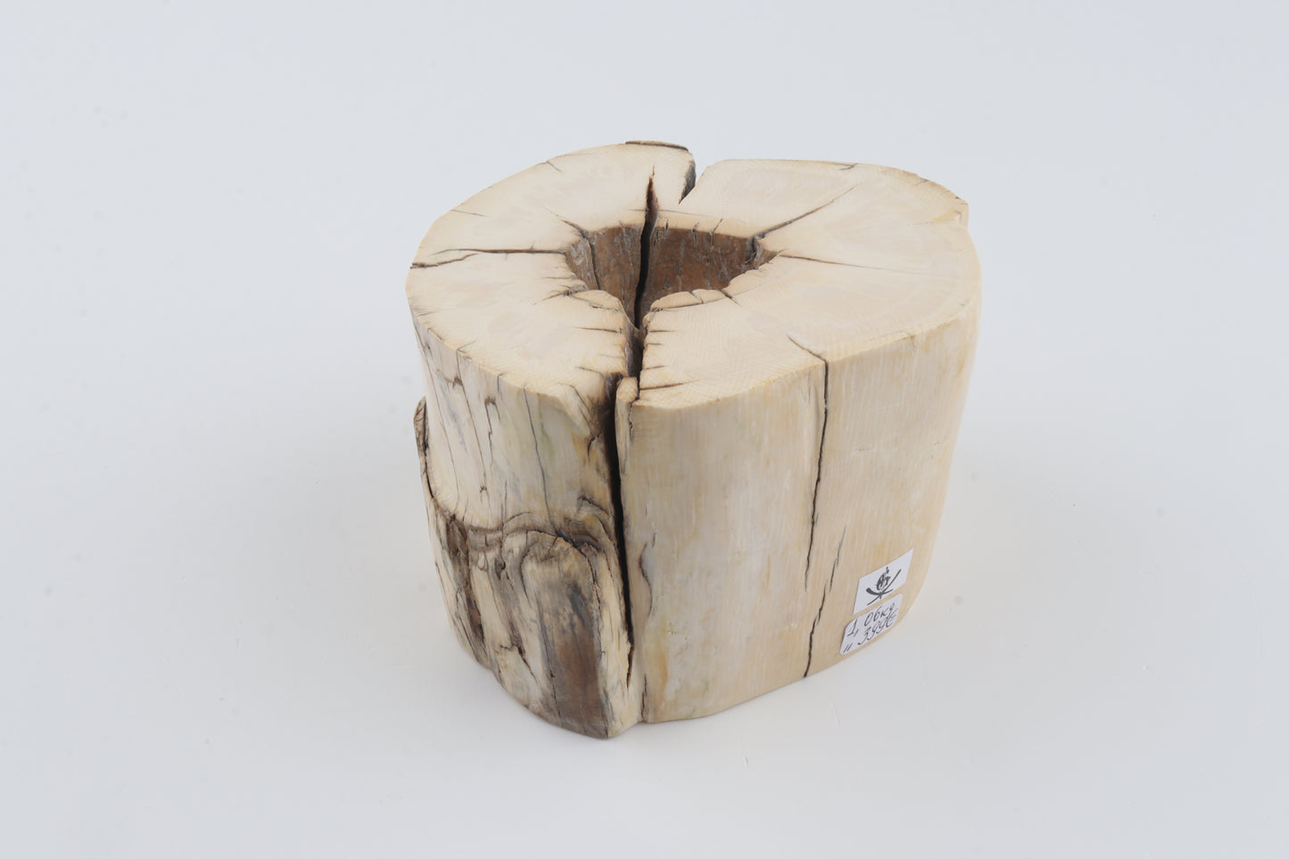 Natural mammoth tusk piece