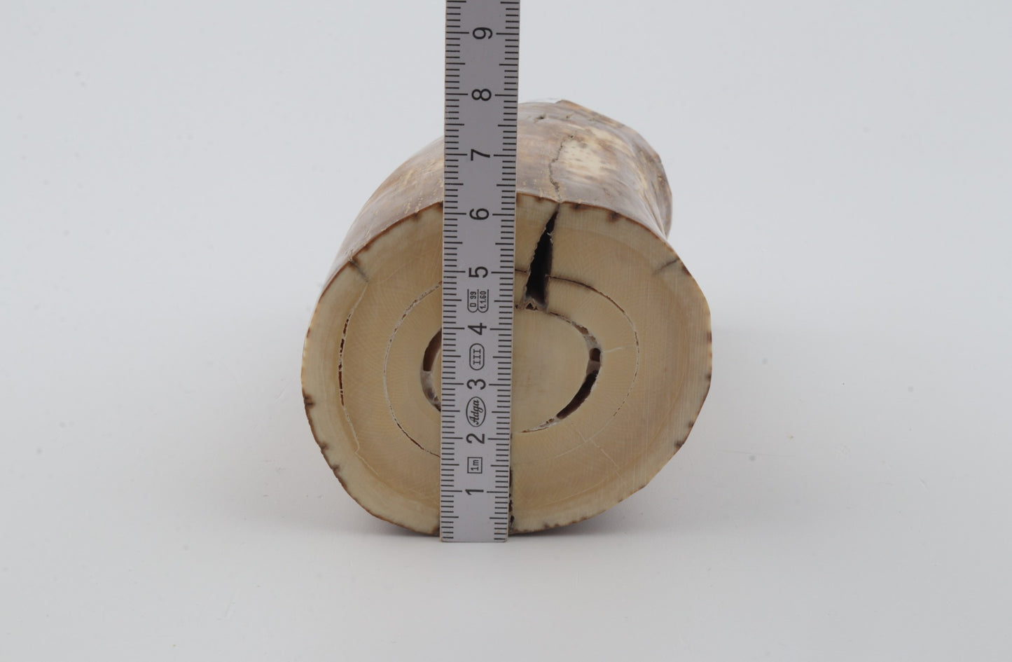 Natural mammoth ivory piece