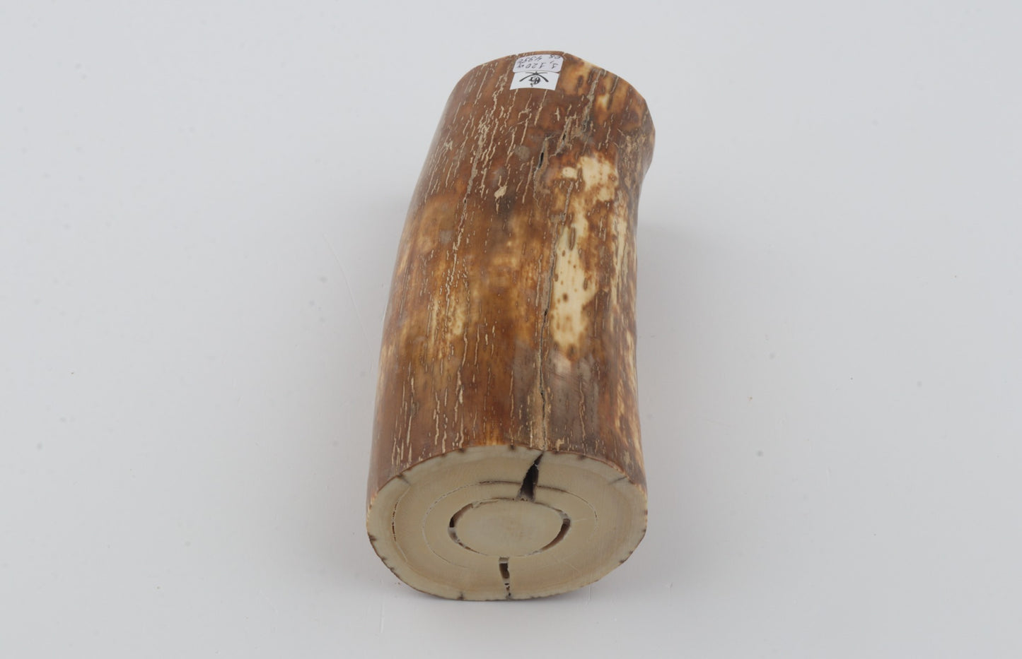 Natural mammoth ivory piece