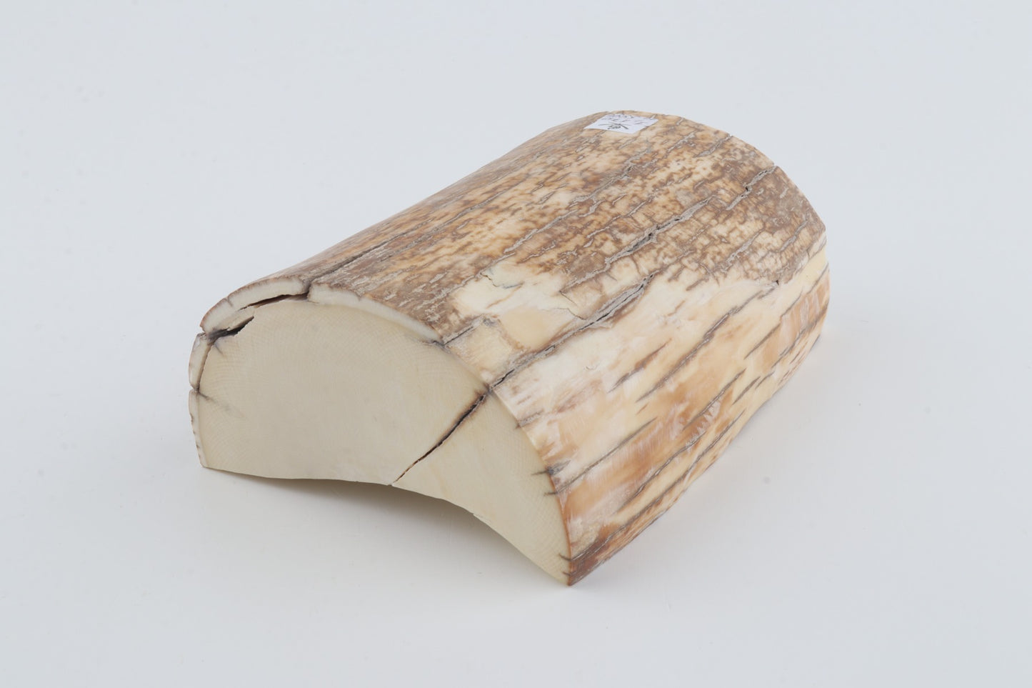 Natural mammoth tusk piece