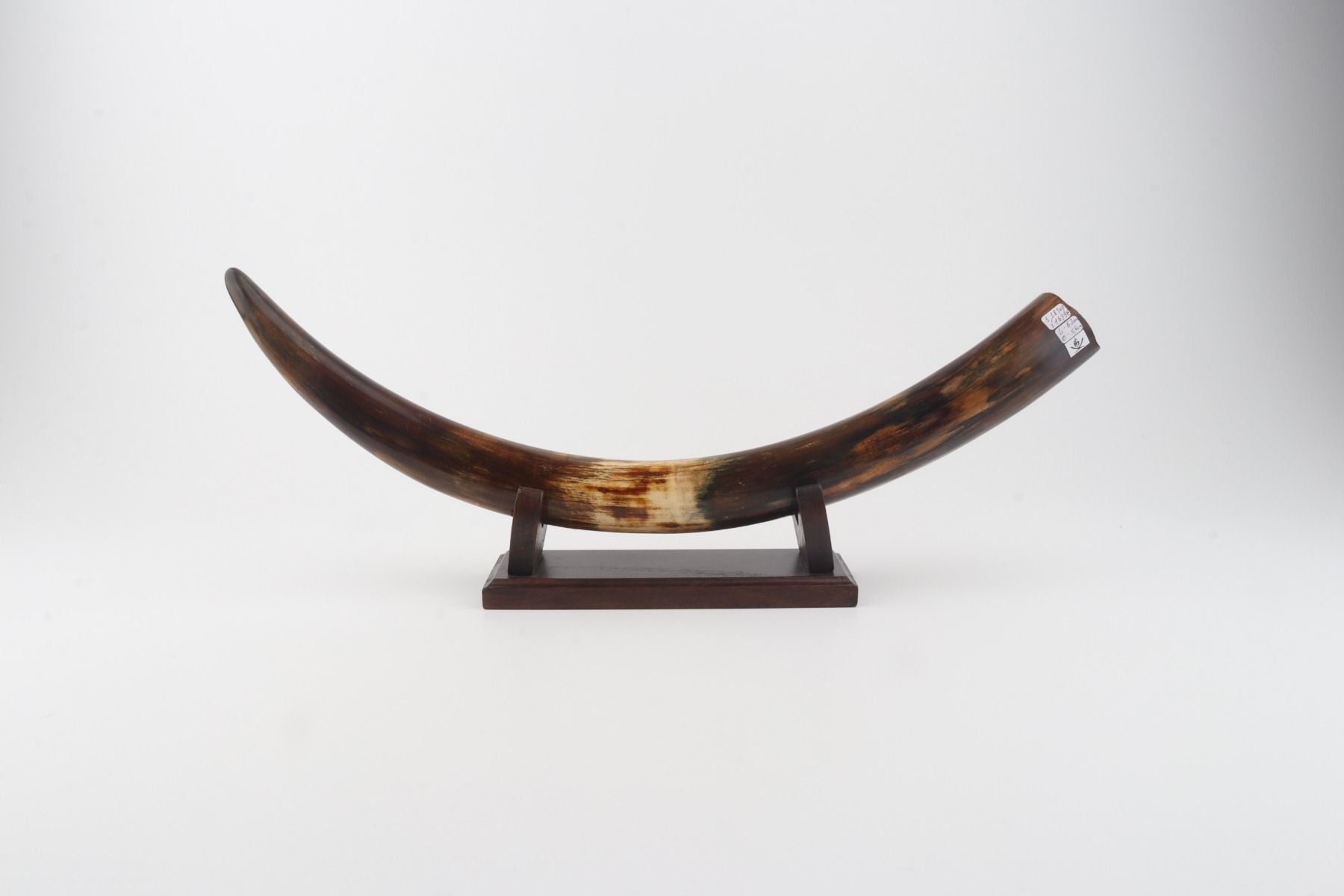 Restored woolly mammoth tusk