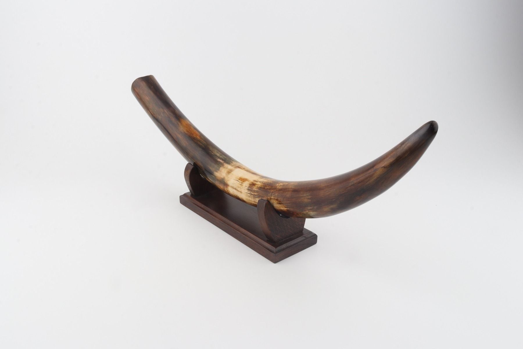 Restored woolly mammoth tusk