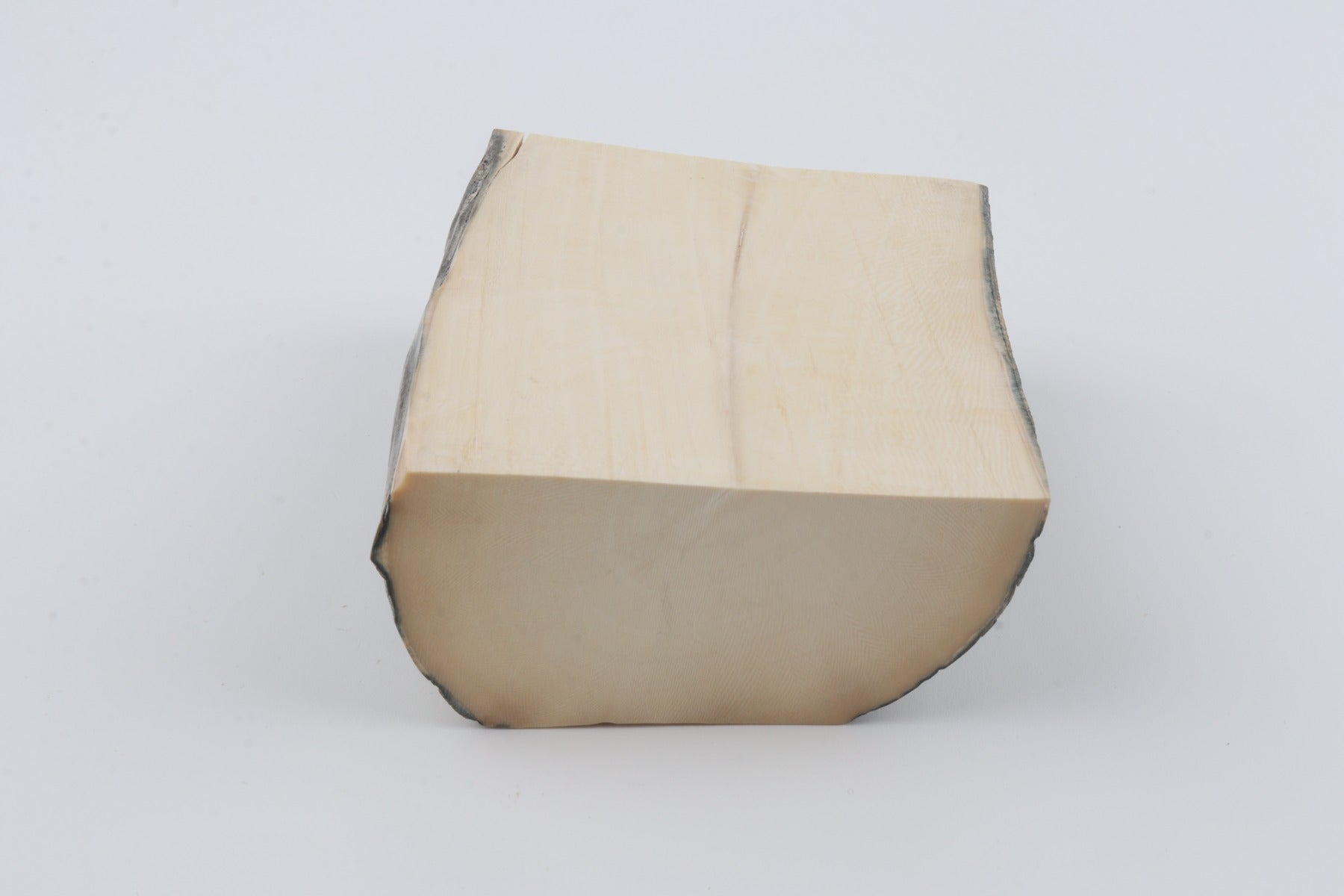 White mammoth ivory segment