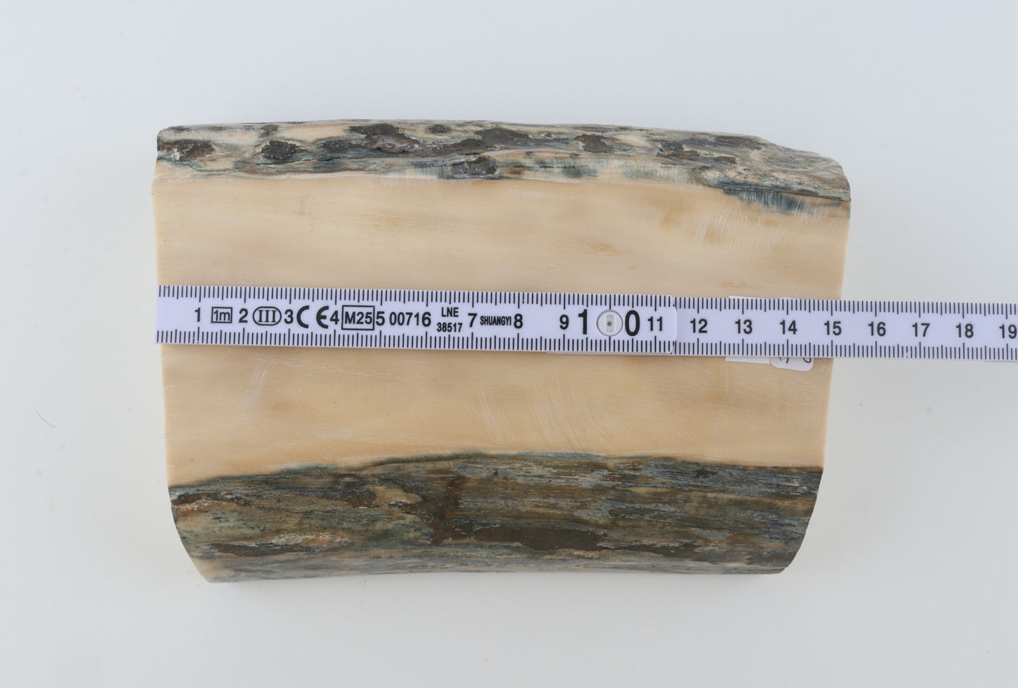 White mammoth ivory segment