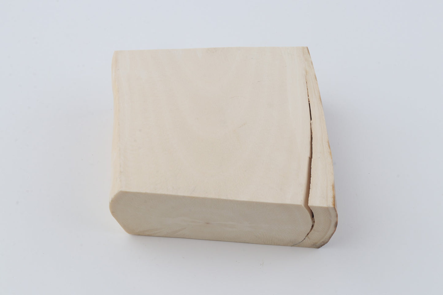 White mammoth ivory segment