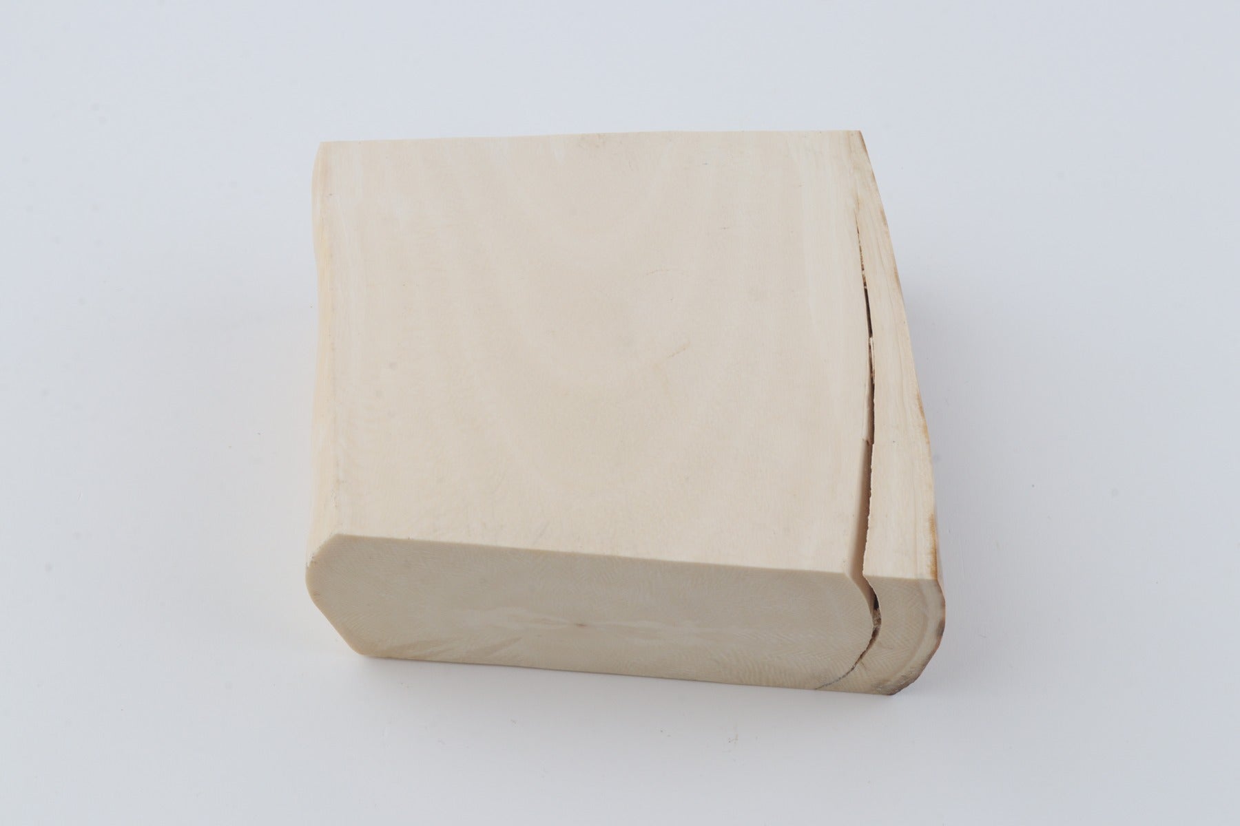 White mammoth ivory segment