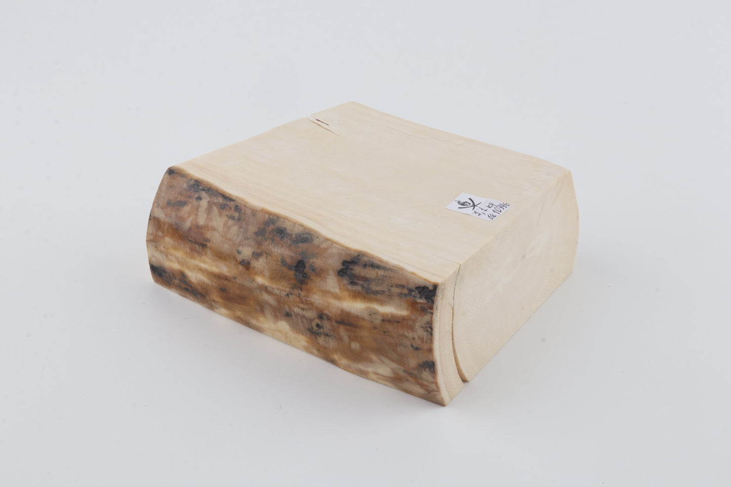 White mammoth ivory segment