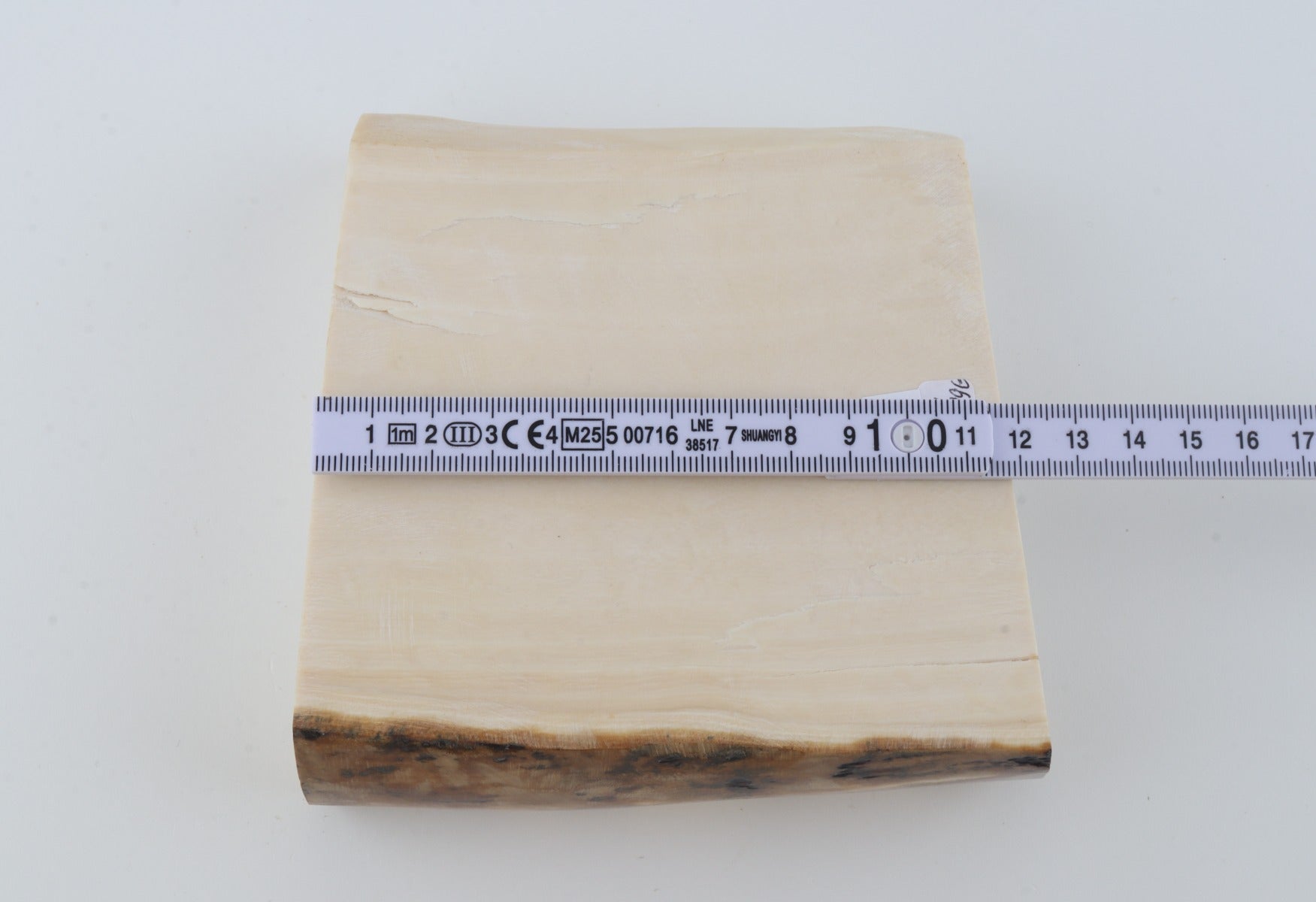 White mammoth ivory segment