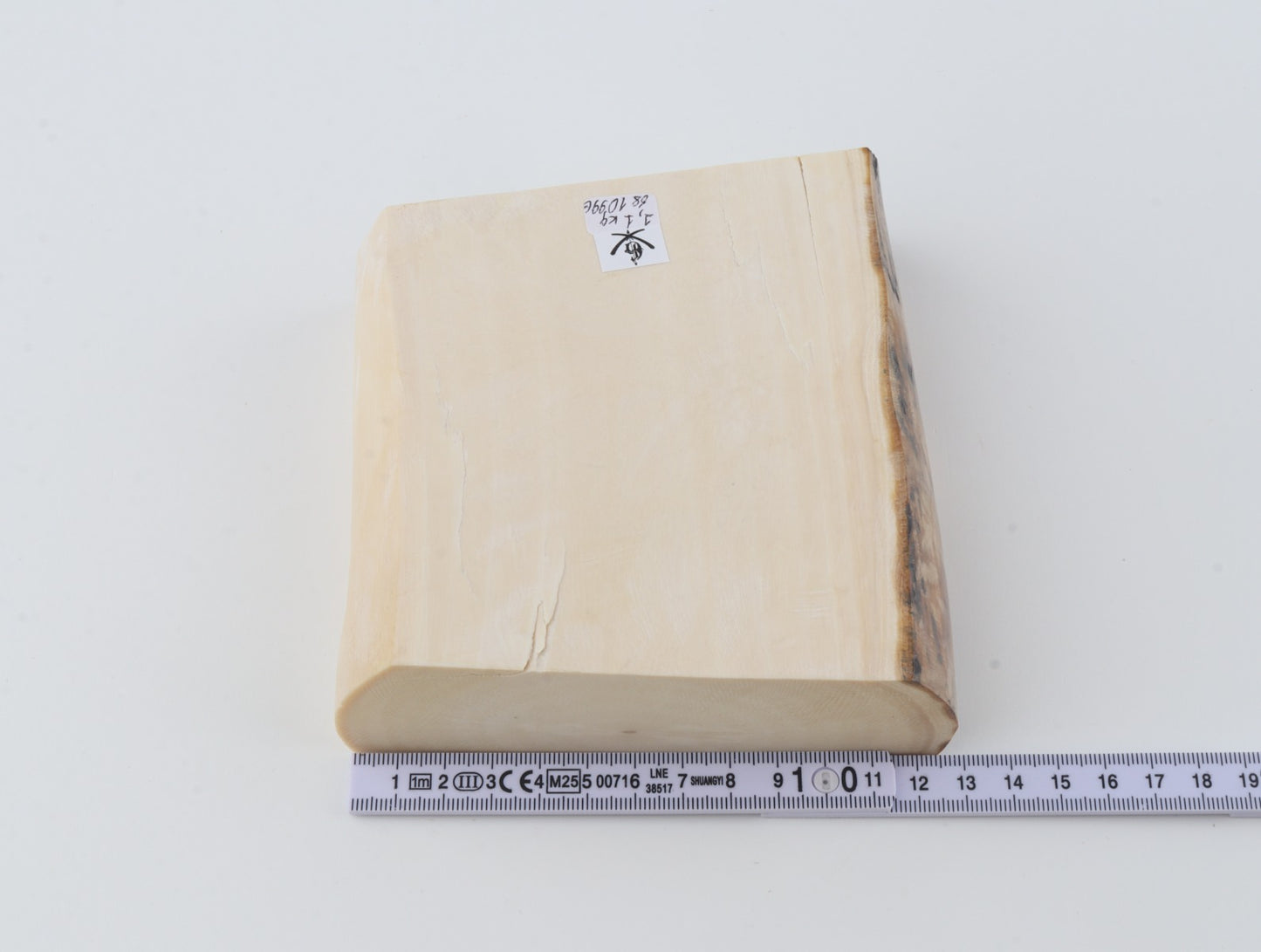 White mammoth ivory segment