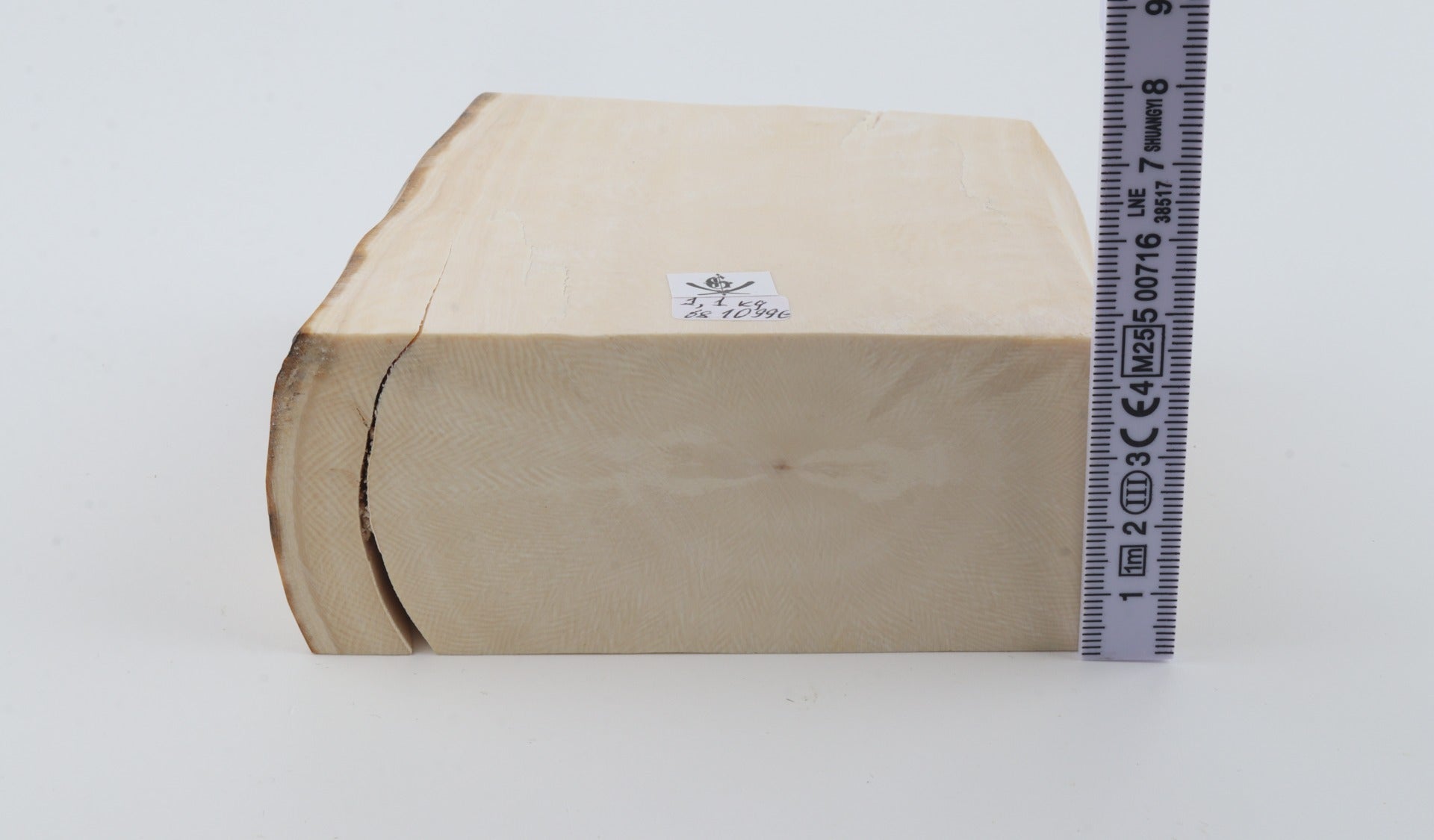 White mammoth ivory segment
