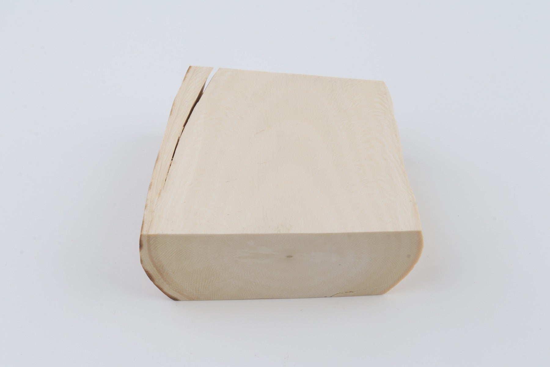 White mammoth ivory segment