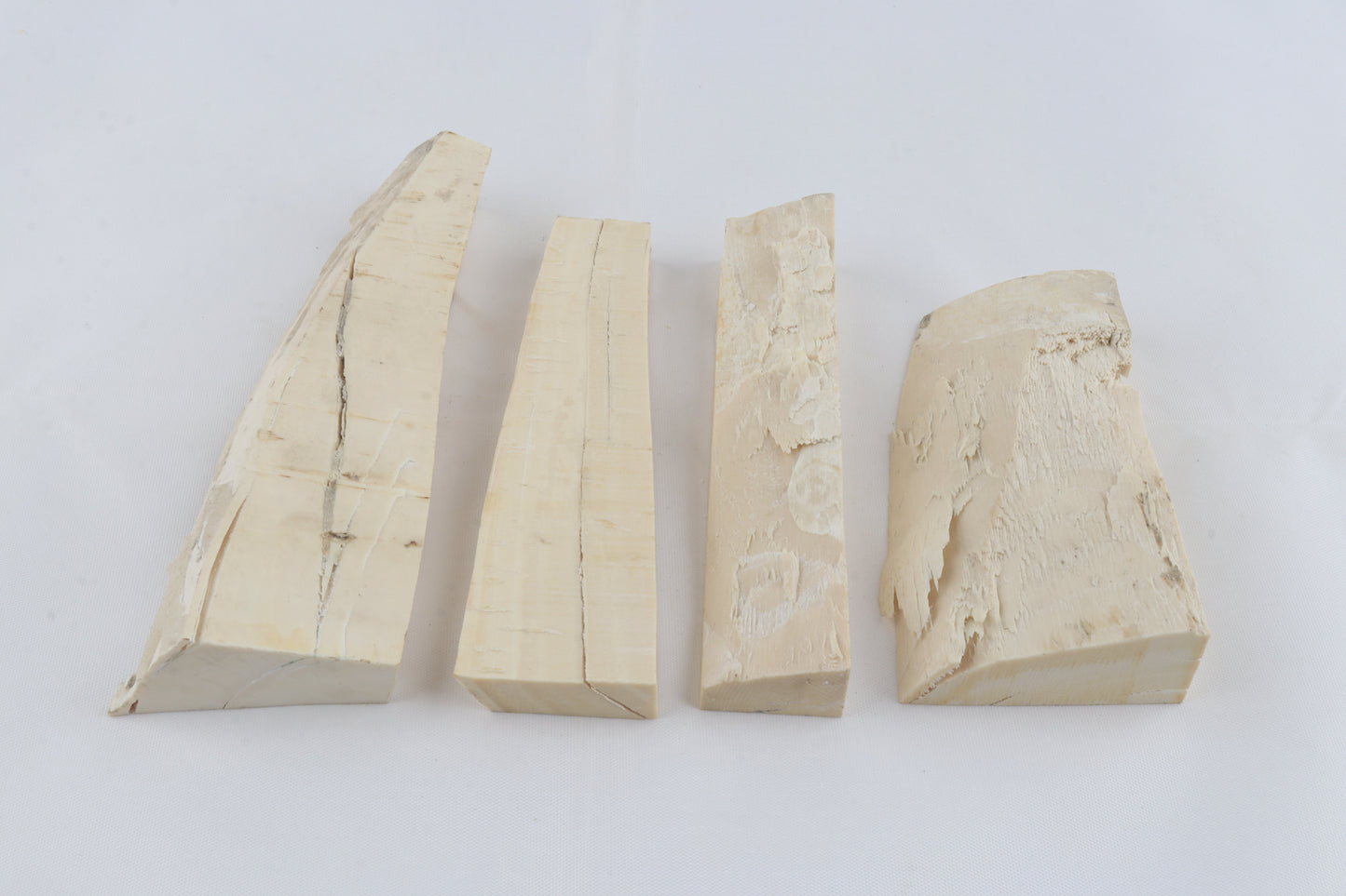 White mammoth ivory pieces